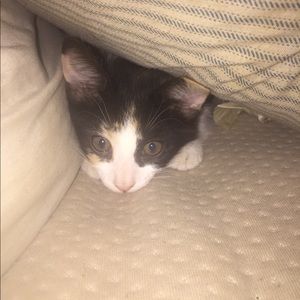 Meet your Posher, Savannah